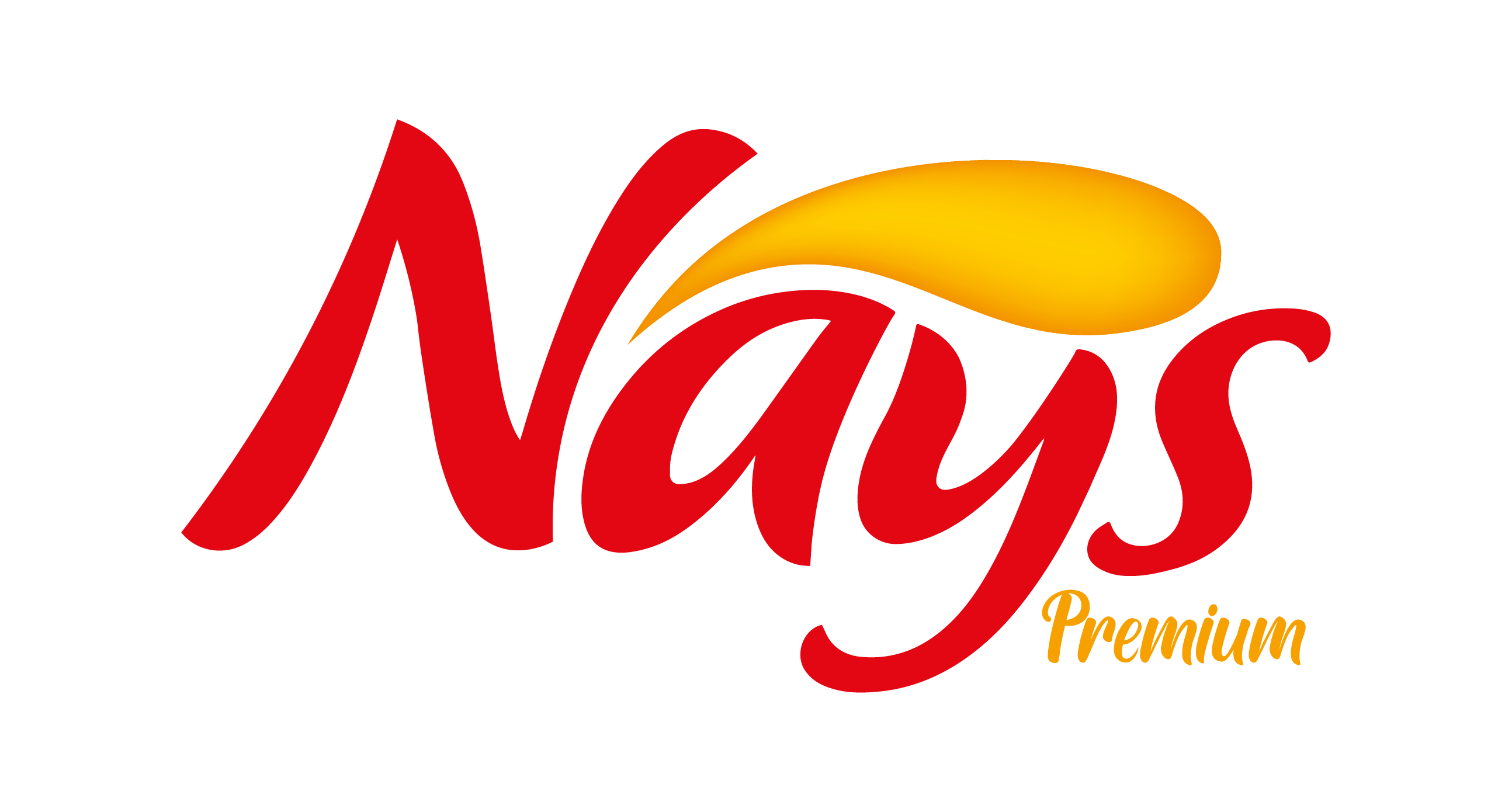 Nays-logo-onay-01.png (122 KB)